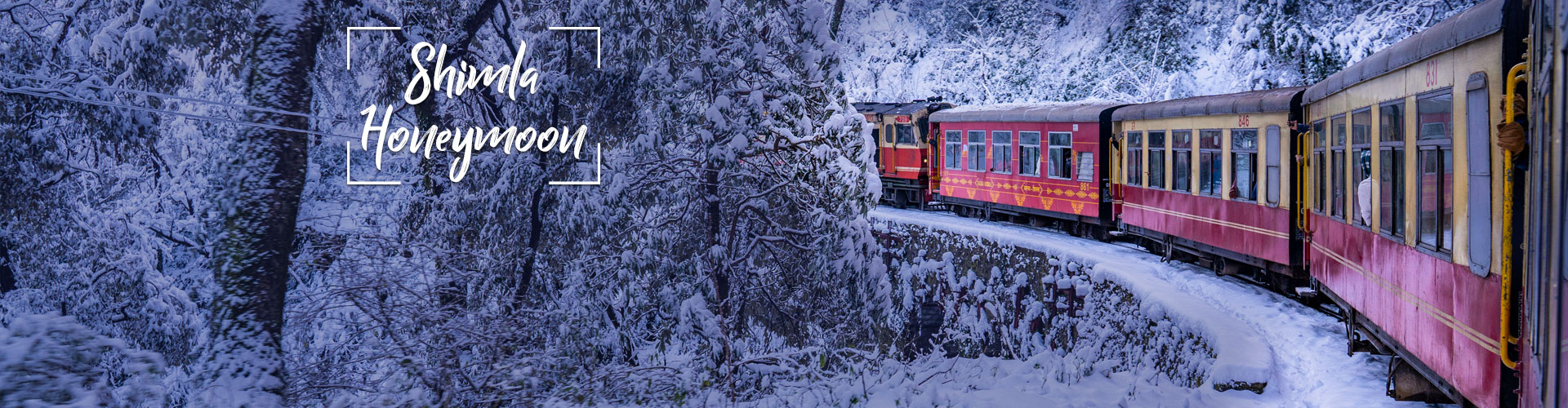 Best Travel Agency Katra