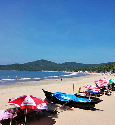 Best Travel Agent Katra