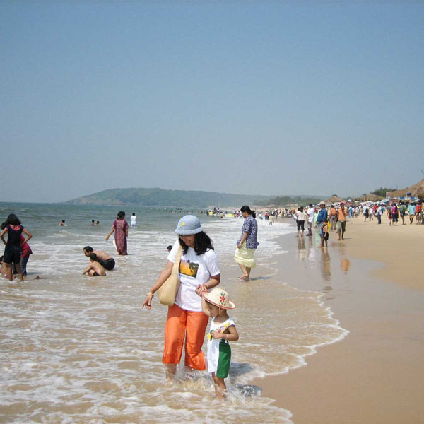  Travel Company Katra